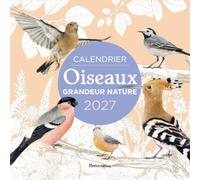 Calendrier Oiseaux grandeur nature