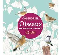 Calendrier Oiseaux grandeur nature