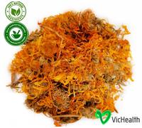 Calendula fiore arancione Tea Herb - per fibromi e ferite, Calendula officinalis