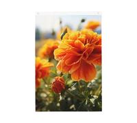 Calendula Fiore Autunno Fiori Bandiera Giardino Benvenuto 2x3 Ft Double Sided No Fade House Yard Bandiere Photo Sfondo Festa Banner Per Cortile Portico Prato Decorazione Esterna