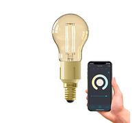CALEX Lampadina intelligente E14, con app e controllo vocale Alexa compatibile (4,5 W), lampadine LED WiFi, filamento dimmerabile, luce bianca calda