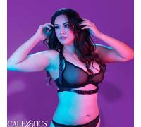 Calexotics - euphoria imbracatura con fibbia plus taglia nera