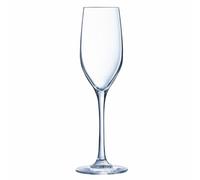 Calice da champagne Chef&Sommelier Sequence Trasparente Vetro 6 Unità [17 CL]