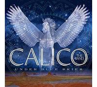 Calico the Band Under Blue Skies (CD)