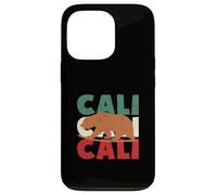 California Bear Cali Surf Bear Retro Surf Vintage anni '70 80 Custodia per iPhone 13 Pro