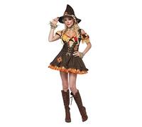 California Costumes Donna Sassy Scarecrow Fancy Dress Costume Large