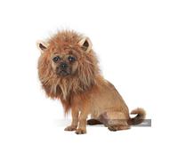 California Costumes King Di The Giungla Leone Cane Animali Halloween PET20166