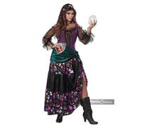 California Costumi Mistico Charmer Gitano Fortune Adulto Halloween Costume 01108