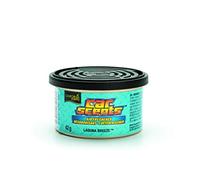 California Scents AC CS Ambientador Coche Lata Brisa Marina