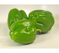 California Wonder Sweet Green Pepper 50 Seeds Seeds ONLY
