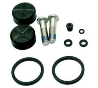 Sram Kit Pistone Pinza Per Rival Axs D1