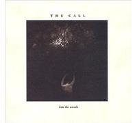 CALL - into the woods LP