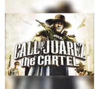 Call of Juarez: The Cartel (PC) Steam Key - EU