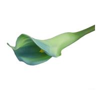 Calla artificiale con contrasto di colori vivaci e texture morbida in seta per la decorazione di casa, giardino e spazi commerciali (blu)