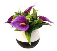 Calla artificiale in plastica e tessuto, in vaso, per decorare la casa, con texture sottile e silhouette elegante (viola)