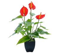 Calla Lily Fiori Artificiali, realistica Lattice fauci di Calla Lily flode Vera pianta in Vaso Floreale per Esterno Giardino Interno Decorazione