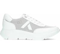 Callaghan Sport Donna Floty 62400 Algoritmo, bianco, 37 EU