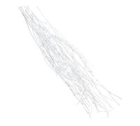 CALLARON 10 Pezzi Rami di Betulla Essiccati, Bastoncini Decorativi in Legno Naturale per Composizioni Floreali, Decorazioni per Feste e Casa, Lunghezza 50 CM