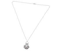 CALLARON Collana Ciondolo Urna per Ceneri di Animali in Acciaio Inossidabile Argento Tappo Resistente e Design Unico, Strumento Commemorativo per Ricordare Tuo Amato Animale