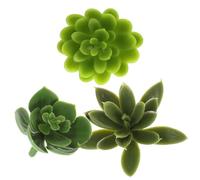 CALLARON Decorazione 3 Bastoncini di Succulente Artificiali Realistici, Ramoscello Simulato Verde per Interni, Arredo Casa e Ufficio, Piante Finte per Vasi e Decorazioni Domestiche