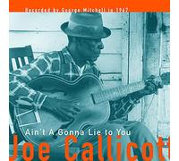 Joe Callicott Ain't a Gonna Lie to You (Vinyl LP) 12" Album