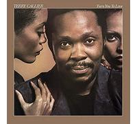 Callier, Terry - Turn You to Love