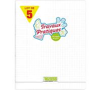 Calligraphe 18189C - Conf. 5 quaderno p.met 24x32 cm 96 p quad. grandi 90g