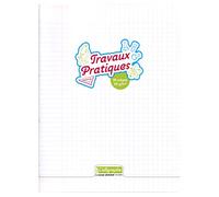 Calligraphe 18189C - quaderno p.met 24x32 cm 96 p quad. grandi 90g incolore
