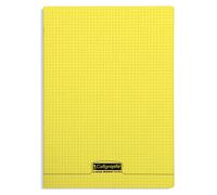 Calligraphe 18384C - Conf. 10 quaderno p.met 24x32 cm 96 p quad. piccoli PP