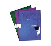 Calligraphe 564C quaderno A4 21x29,7cm 48p quad. grandi 70g ricicl.