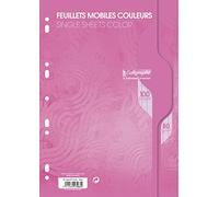 Calligraphe 7963C confezione di fogli mobili forati rosas avvolti in pellicola (un marchio di Clairefontaine) - A4 21x29,7 cm - 100 pagine a quadretti grandi - Papier 80 g