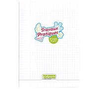 Calligraphe 8000 Polypro, Tp Pique Quadri 21x29,7cm 96p Seyes/Uni 90g