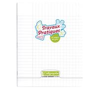 Calligraphe Clairefontaine - Rif 18185C - Calligraphe PP Stapled Laboratory Laboratory Workbook (64 pagine) - Dimensioni 170 x 220 mm, rigature semplici e semplici, carta velina superfine 90 g/m², copertina in