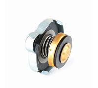 CALORSTAT by Vernet RC0050 Tappo, radiatore