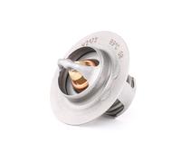 CALORSTAT by Vernet TH5108.89J Termostato motore