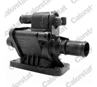 CALORSTAT by Vernet TH6875.83J Termostato, refrigerante per CITROËN,FIAT,FORD,MA