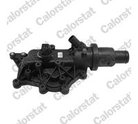 CALORSTAT by Vernet TH6971.89J Termostato, refrigerante per RENAULT