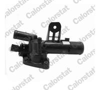 CALORSTAT by Vernet TH7125.83J Termostato, refrigerante per DACIA,NISSAN,RENAULT