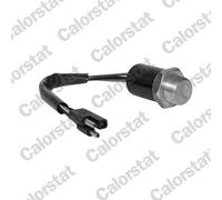 CALORSTAT by Vernet TS1956 Termocontatto, Ventola radiatore per CITROËN,FIAT,PEU