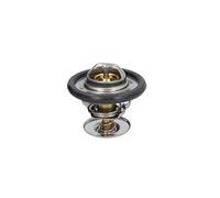 Calorstat TH5750.92J Termostato