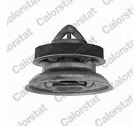 Calorstat WF0077 Flangia d. refrigerante