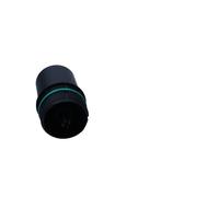 Calotta, Carter filtro olio per AUDI CUPRA SEAT SKODA VW A1 A3 A4 A4 Allroad A5