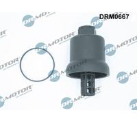 Calotta, Carter filtro olio per AUDI SEAT SKODA VW A1 A3 A4 A6 ALTEA ALTEA XL EO