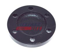 Calotta protettiva, Mozzo ruota Assale post. bilaterale per IVECO DAILY