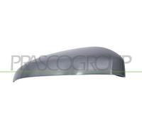PRASCO PG7247413 Copertura, Specchio esterno