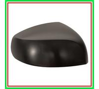 PRASCO OP3057403 Copertura, Specchio esterno