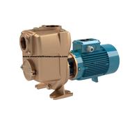 CALPEDA AM 40-110 AA MONOFASE Elettropompa BRONZO 1 HP Autoadescante Girante Ape