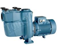 Calpeda NMPM 50/12HE Pompa da PISCINA 54m3/h con FILTROautoadescante 1,1kW ghisa
