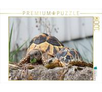 CALVENDO 7691666 - Puzzle multicolore