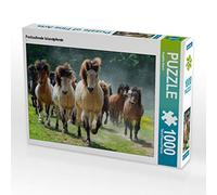 CALVENDO 7713014 - Puzzle multicolore